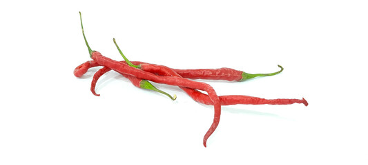 red chili isolated on white background	
