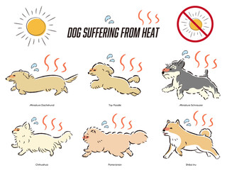 犬の暑さ対策のイラストセット