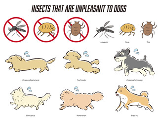 犬の虫対策のイラストセット