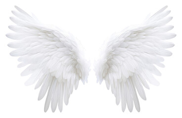 PNG White feather angel wings bird white background archangel.