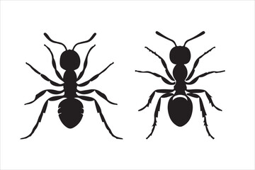  A ant vector illustration silhouette 