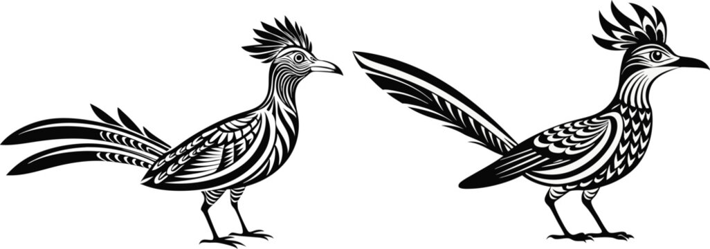 roadrunner silhouette vector illustration 