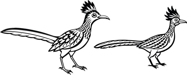 roadrunner silhouette vector illustration 