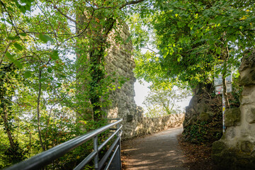 Ruins of a historic structure at Drachenfels, partially covered by lush greenery, blending history and nature, creating a tranquil atmosphere for visitors.
