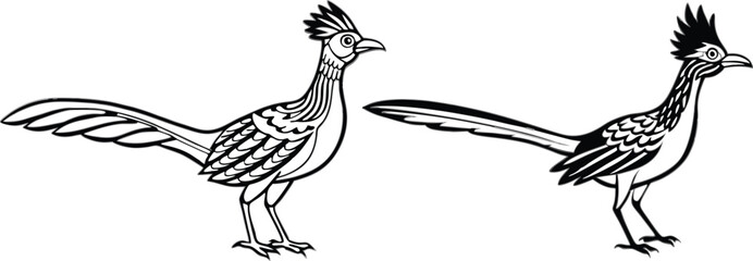 roadrunner silhouette vector illustration 