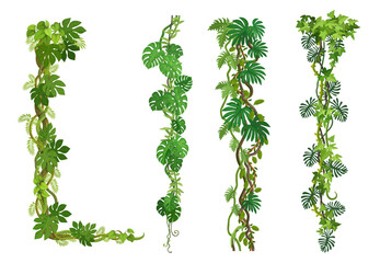 Liana vine, tropical jungle forest branches and ivy or monstera leaves, vector border frames. Tropical rainforest creeper plants or jungle liana and bindweed tree with climbing tendrils for frames © Vector Tradition