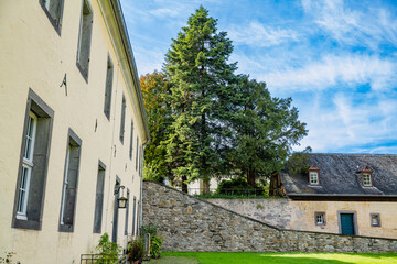 A peaceful view of a tall tree next to a stone wall and a building with a cream facade at Klosterruine Heisterbach, under a clear blue sky.