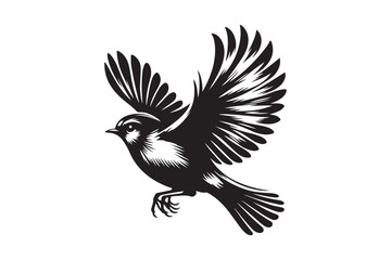 Obraz premium black and white bird