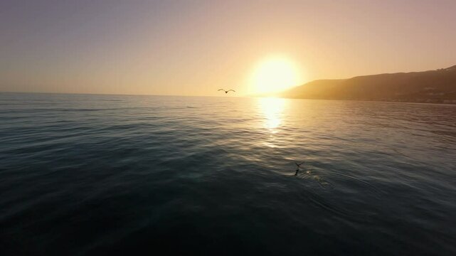 An FPV drone closely follows a seagull over the serene waters of Malibu, California during a breathtaking sunset, capturing a cinematic and beautiful aerial view of the coastline