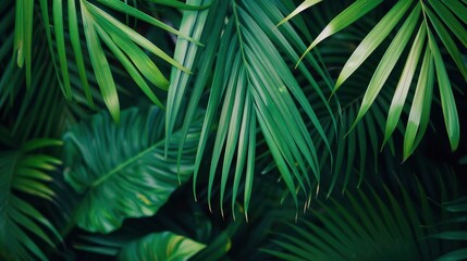 closeup nature view of green leaf and palms background. Flat lay, dark nature concept, tropical leaf, ai