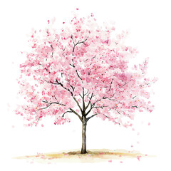 Fototapeta premium Beautiful watercolor illustration of a cherry blossom tree in full bloom, symbolizing spring and new beginnings.