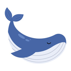 Whale animal illustration