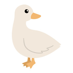 Duck cartoon illustration