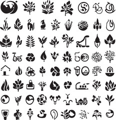 ecology, environment