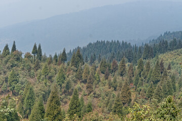 lanscape view picture of mountains and houses in the hill station of Darjeeling