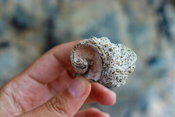 Seaside vacation. Tourism and relaxation.