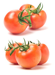 fresh tomatoes on white background 