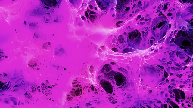 In this image we see a complex web of collagen and elastin fibers which make up the extracellular matrix.