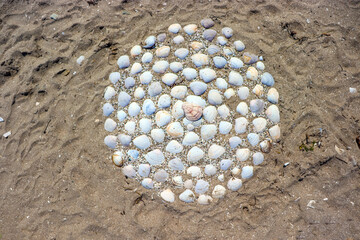 Shell on the beach. Seaside vacation. Vacation. Tourism and recreation.