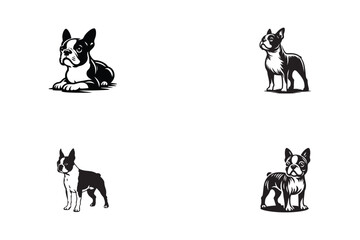 set of Boston Terrier dog vector illustration design, Boston Terrier dog silhouette logo design black and white 