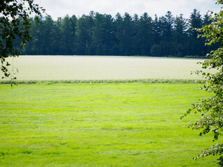 草原と畑の風景