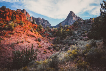 Zion National Park Landscape
