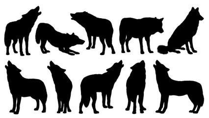Black silhouette illustrations of wolves isolated on transparent background 