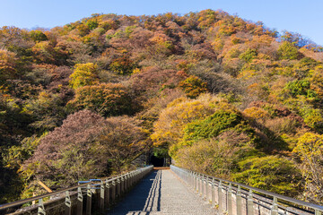 日本の風景・秋　群馬県安中市　紅葉の碓氷第三橋梁（めがね橋）