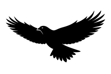 Eagle and Hawk Vector Silhouette - Majestic Bird of Prey Clipart