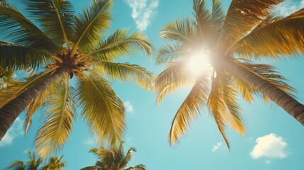 Ready for a Summer vacation Summer vacation at a tropical beach with palm trees : Generative AI