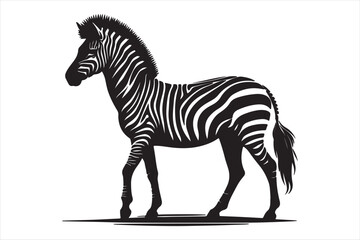 Zebra silhouette  vector