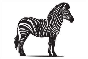 Zebra silhouette  vector