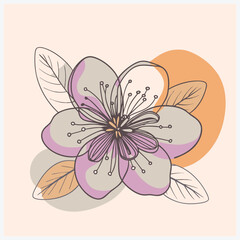Ground-Plum Flower Vector, Elegant and Detailed Botanical Illustration