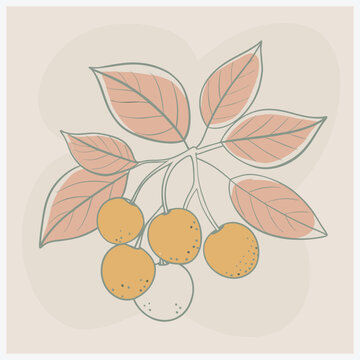 Vibrant Farkleberry Fruit Vector Illustration