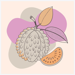Grumichama Fruit Vector, Stunning Vector Illustration of the Exotic Grumichama Fruit