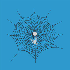 Obraz premium spider and web Spider net spider web nature dew cobweb insect net spiderweb pattern water macro Halloween network trap spiders drop vector