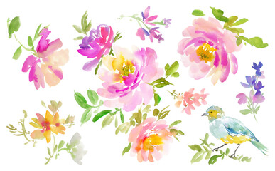 A set of illustrations of abstract flowers and birds painted in watercolor with transparent background. A set of watercolor illustrations of peonies and roses.	