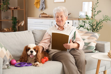Senior woman reading magazine with cute cavalier King Charles spaniel dog sitting on sofa at home