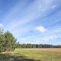Obraz premium Landschaft in Brandenburg
