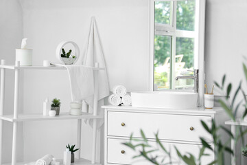 Interior of stylish modern bathroom with commode and decorative olive tree