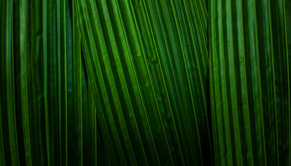 abstract background green