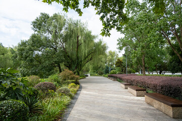 Background texture of a paved pathway lined with lush greenery, with various plants and trees in a well-landscaped urban park. A pedestrian walkway in a public green space. Copy space for design