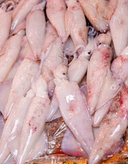 squid for sale in a market
