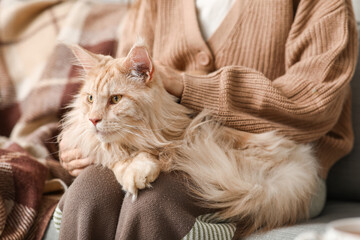 Young woman sitting on sofa with cute Maine Coon cat at home