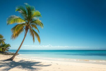 Obraz premium Serene Beach with Palm Tree, Clear Blue Sky, and Calm Ocean Waves, Capturing the Essence of Tranquil Summer Relaxation