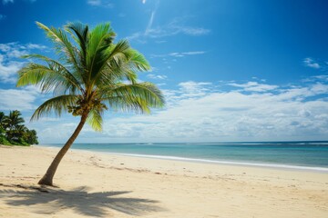 Obraz premium Serene Beach with Palm Tree, Clear Blue Sky, and Calm Ocean Waves, Capturing the Essence of Tranquil Summer Relaxation