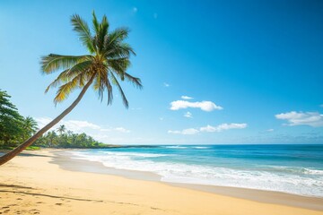 Serene Beach with Palm Tree, Clear Blue Sky, and Calm Ocean Waves, Capturing the Essence of Tranquil Summer Relaxation