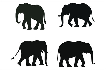 Fototapeta premium Elephant Silhouette Bundle Set on a White Background, Animal Elephant Silhouette