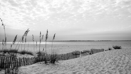 Pensacola beach landscape: a fence and grasses in the sand with cloudy sky, in black and white...