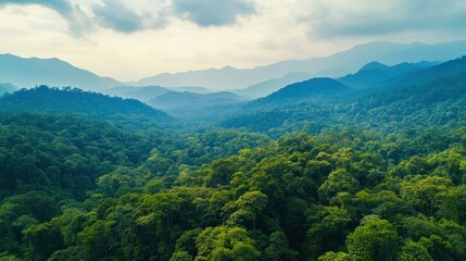 Aerial View of Lush Green Mountains